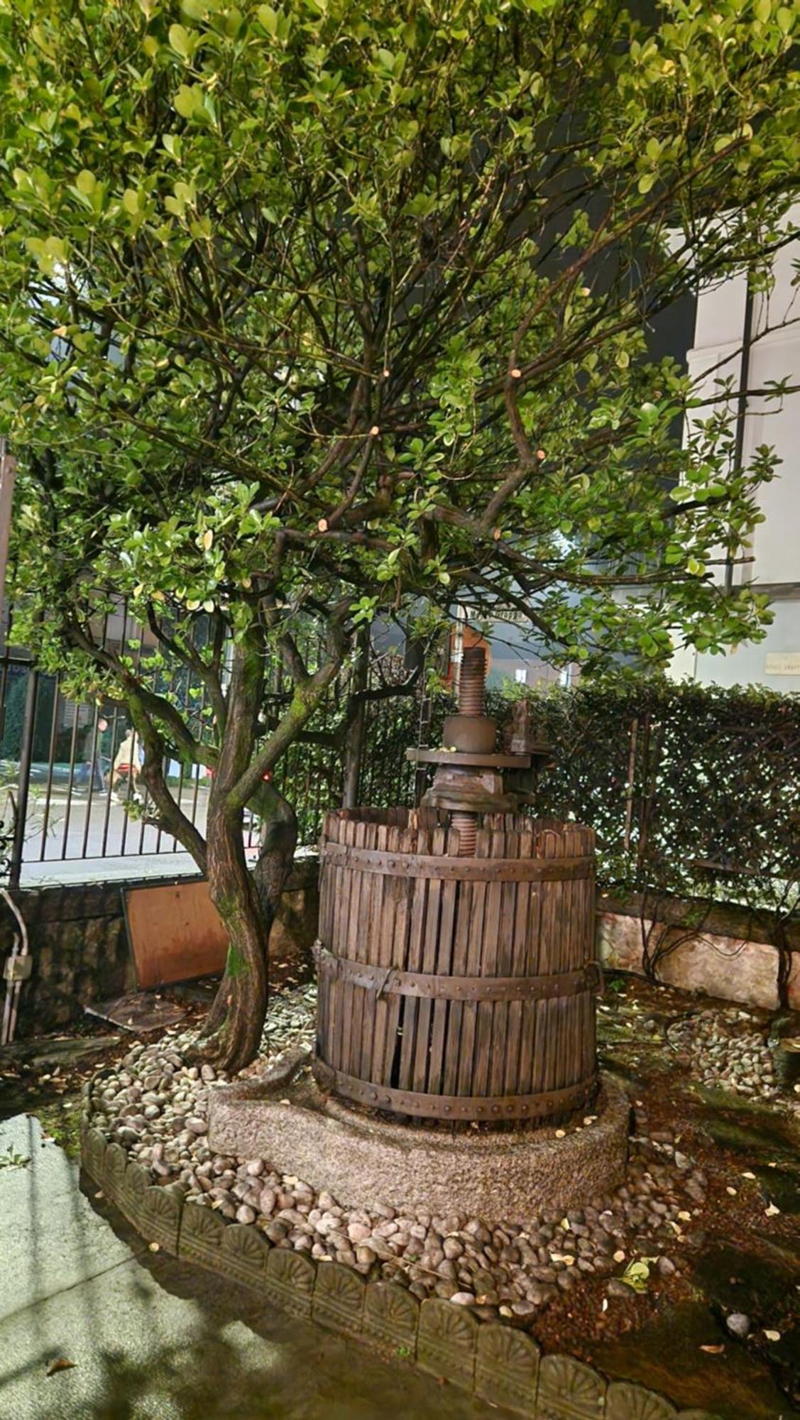 Villa Cavalleri Gattinara エクステリア 写真